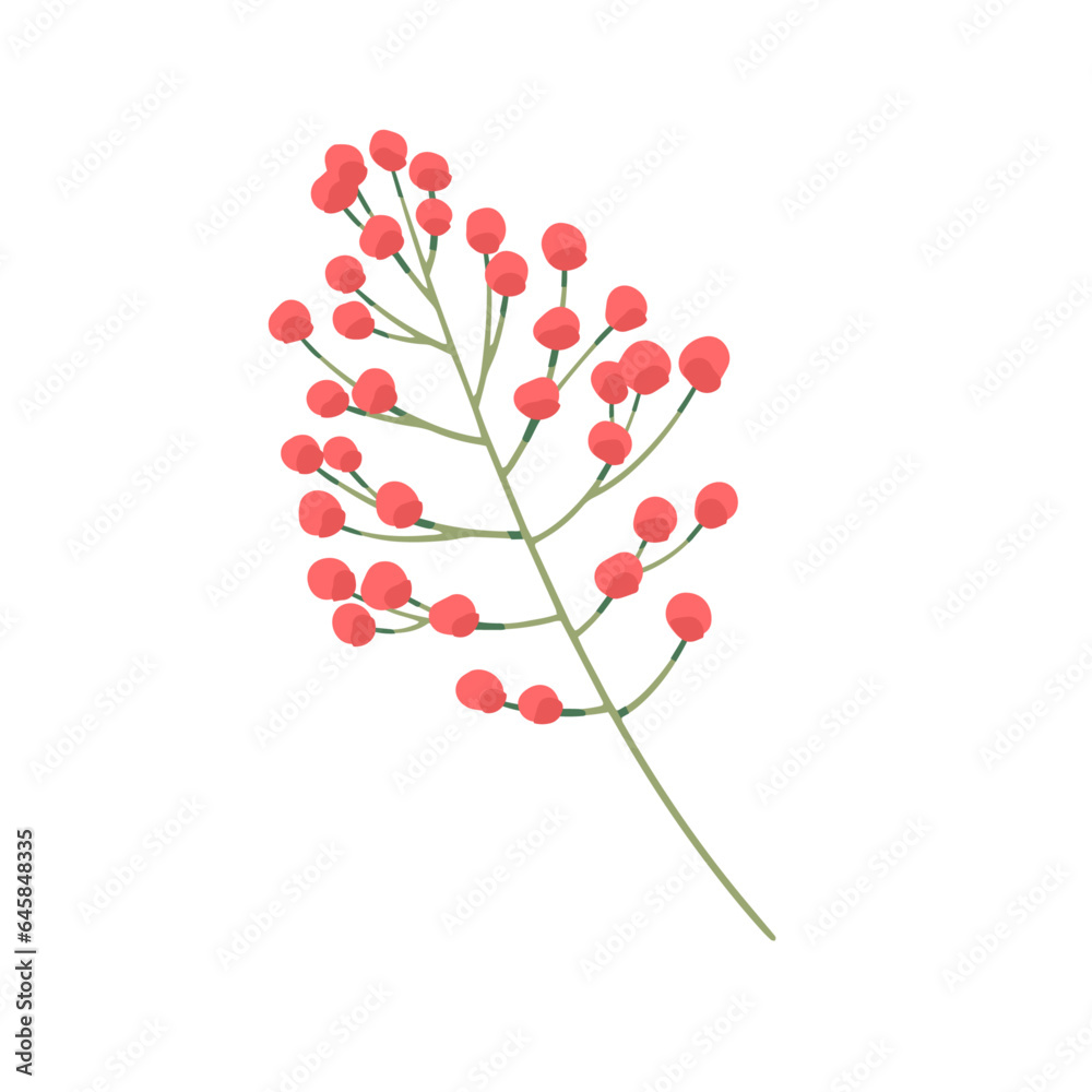 Vector hand drawn mimosa plant illustration Vector hand drawn mimosa plant illustration