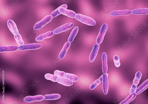 Klebsiella is a multidrug-resistant bacteria that can cause different types of infections such as pneumonia, bloodstream infections and meningitis photo