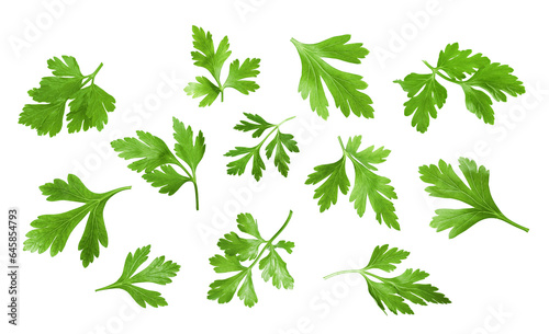 Set with green parsley isolated on white