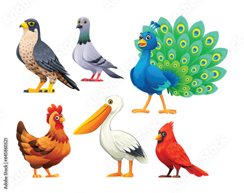 Set of birds vector cartoon illustration. Falcon  pigeon  peacock  hen  pelican and cardinal