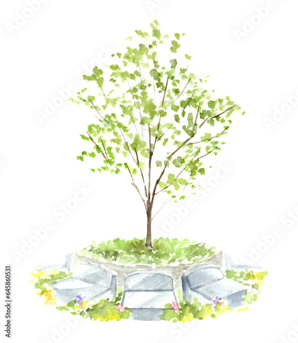 樹木葬の水彩画