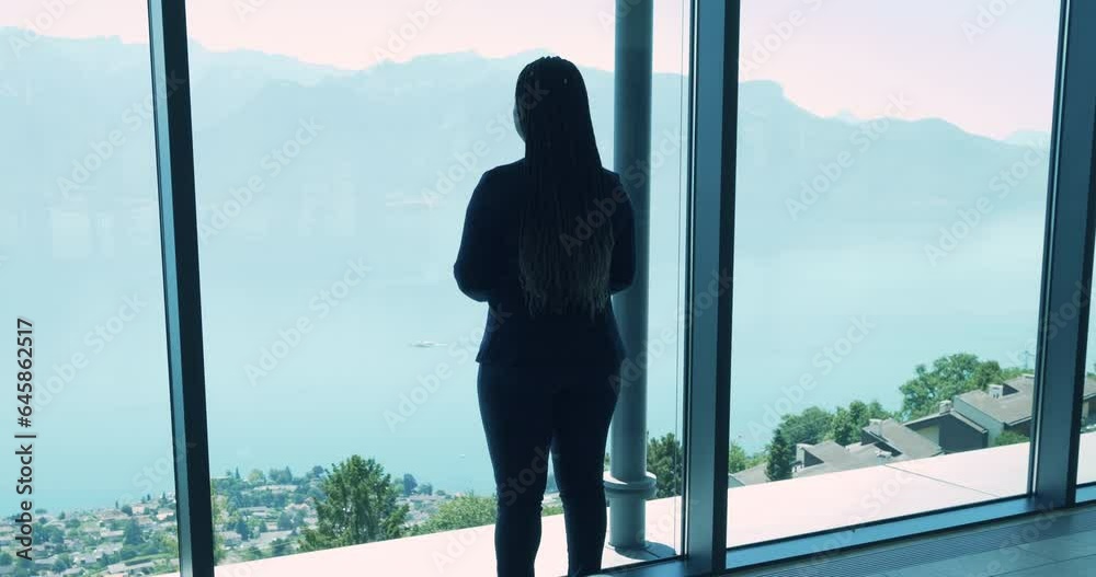 Successful Businesswoman Manager Looking Through Glass Window View Successful Businesswoman Manager Looking Through Glass Window View