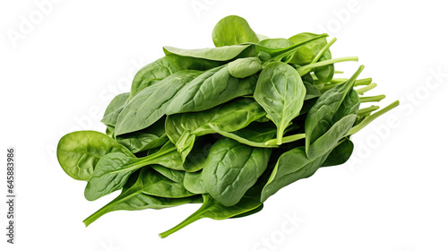 Bundle of fresh spinach isolated on transparent and white background, top view