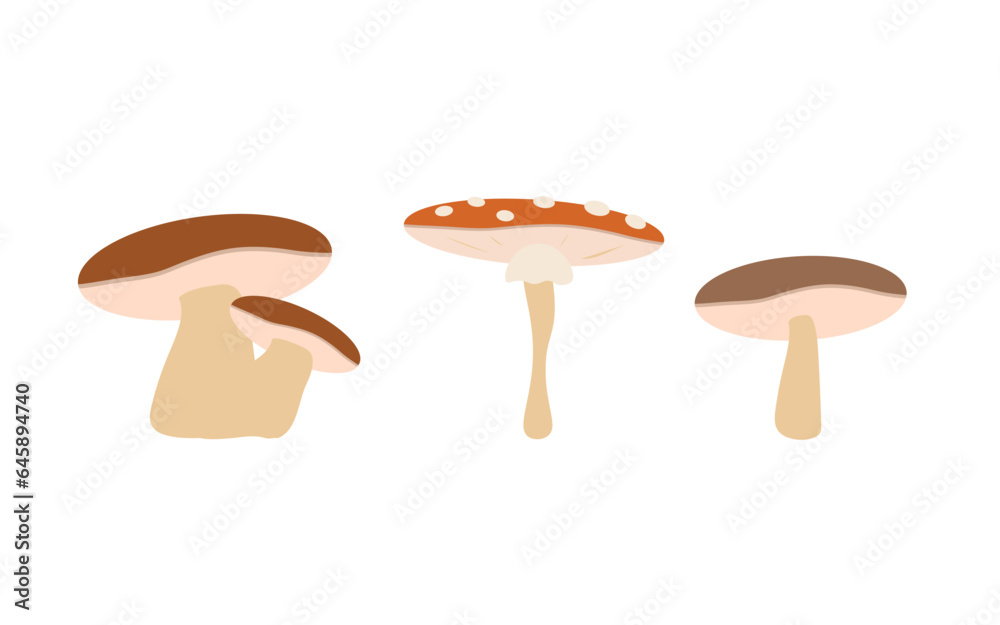 Simple isolated mushrooms on a white background. A set of mushrooms with toadstool, porcini mushroom and ordinary. Vector illustration of autumn elements. 10 EPS
