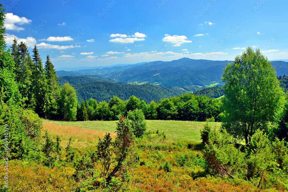 Summer lanscape in Gorce mountains, Poland