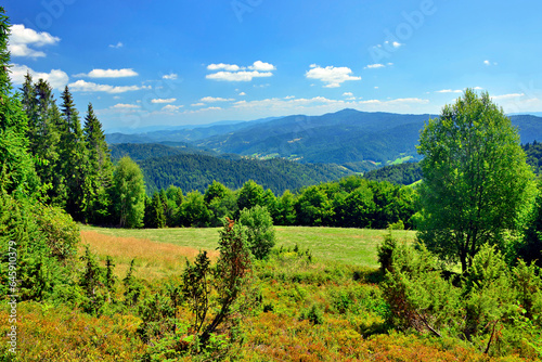 Summer lanscape in Gorce mountains  Poland