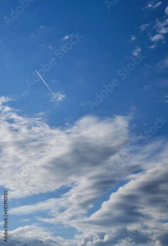 鮮かな青空と秋の雲