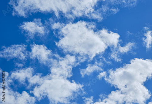 鮮かな青空と秋の雲