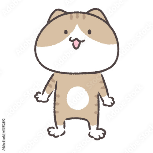 猫