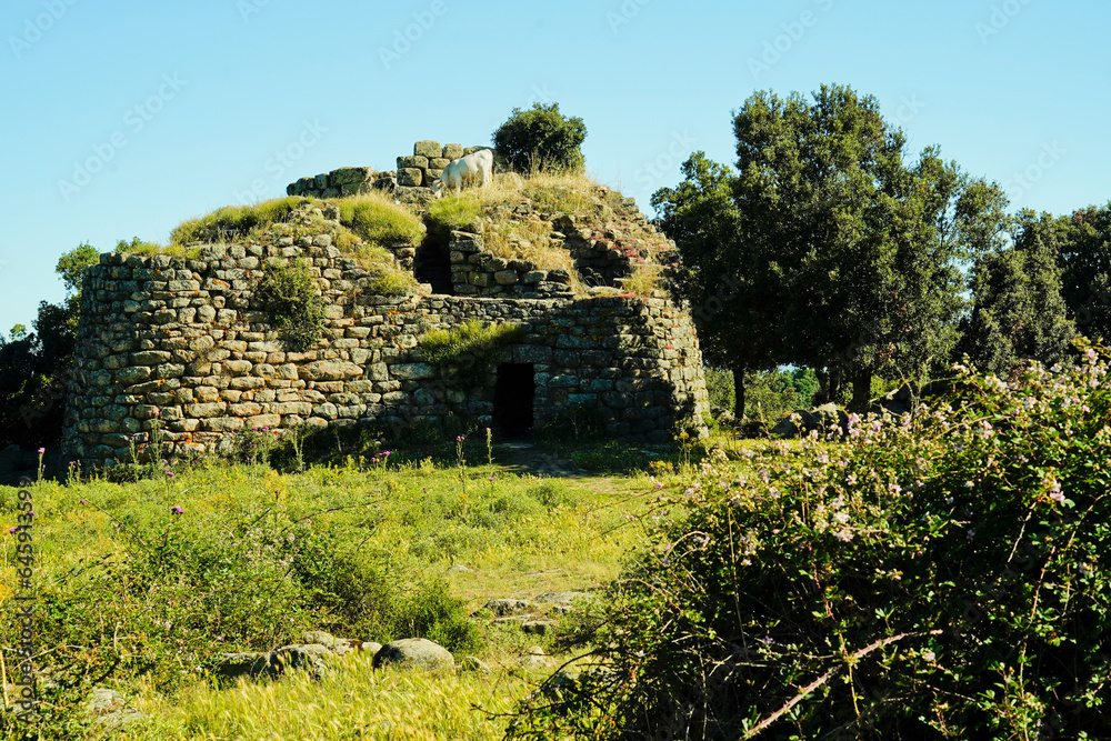 Area archeologica di Loelle, Strada Statale di Buddusò e del Correboi.  Provincia di Nuoro, Sardegna. Italy