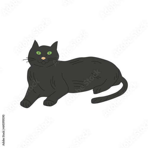 Cat is drawn in a lying position. Cat black. Design banner, poster pet store and pet supplies. Vector flat illustration. © Vera