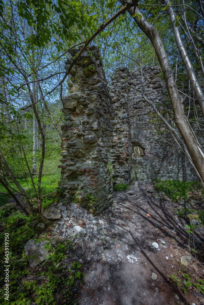 Fototapeta premium Czartowe Pole Nature Reserve, The gorge of the Devil's Field, Roztoczanski National Park, waterfalls and water cascades, Polish landscapes, tourist trails in Poland