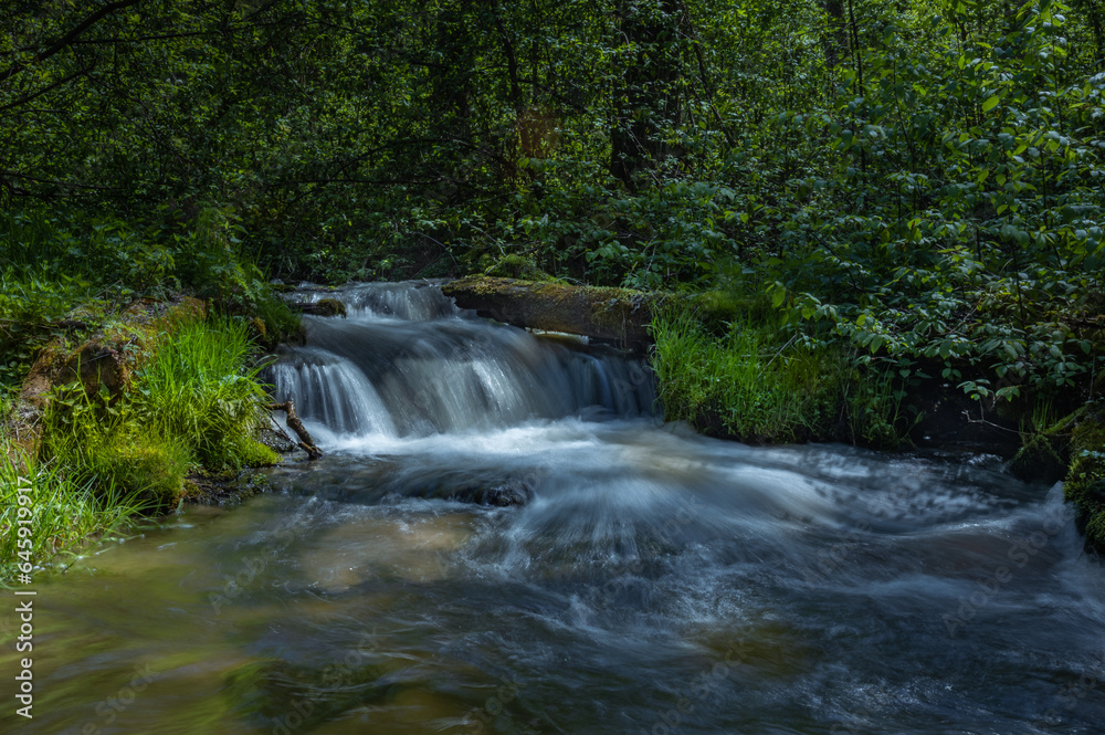 Fototapeta premium Czartowe Pole Nature Reserve, The gorge of the Devil's Field, Roztoczanski National Park, waterfalls and water cascades, Polish landscapes, tourist trails in Poland