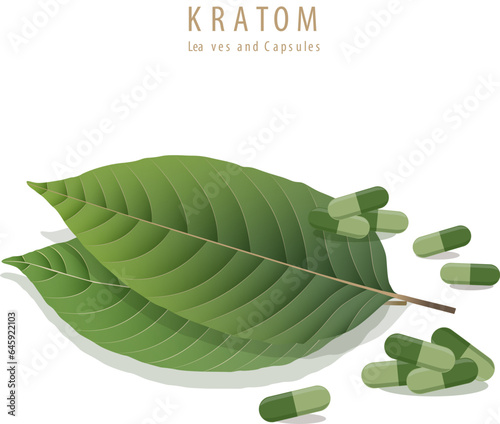 Mitragyna kratom leaf. Vector flat illustration icon design. Isolated on a white background. Kratom plant drug concept. Supplement organic green capsules.