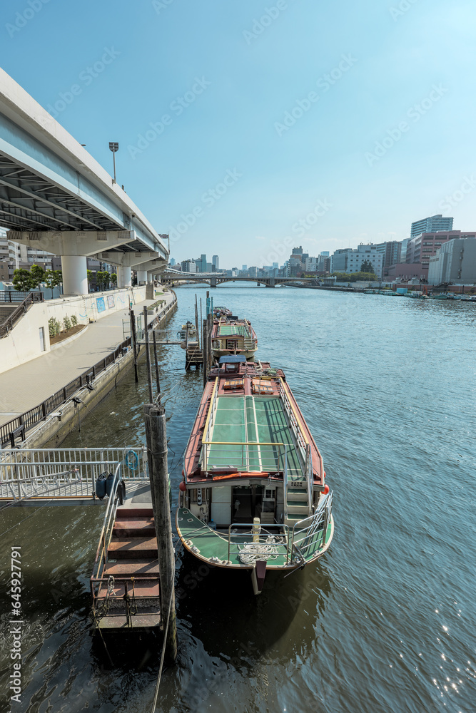 Fototapeta premium 夏の隅田川の風景