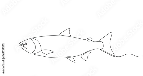 fresh salmon fish in continuous line art drawing style. Single line sketch of salmon fish in doodle style on white background. Vector illustration