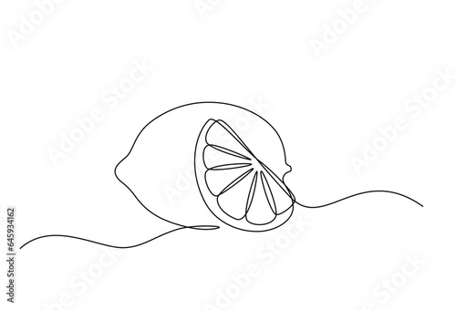 lemon fruit with cut lemon fruit in continuous line art drawing style. Orange fruit concept accompanied by lemon slices in doodle style on a white background. Vector illustration