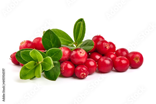 Foto Fresh wild lingonberry berries with leaves, isolated on white background