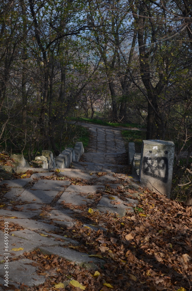 Autumn mood, ladder, Autumn descent, Stairway to fairyland, Golden autumn, Path to adventure, Autumn mood, ladder, Autumn descent, Stairway to fairyland, Golden autumn, Path to adventure,