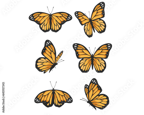 Monarch butterfly set of butterflies orange butterfly 