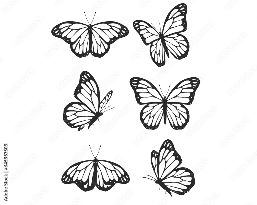 set of butterflies