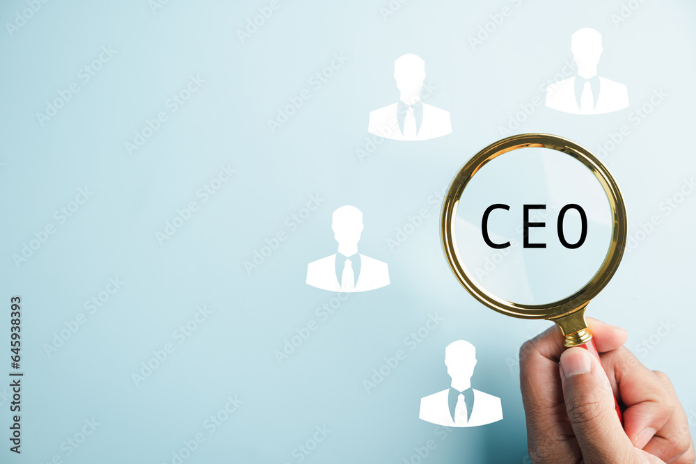 HR officer seeks leader and CEO. HR manager selects employee. Leader ...