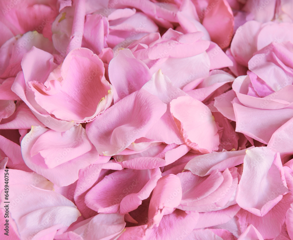 Natural background of rose petals