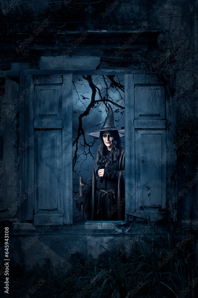 Halloween witch standing in old damaged wood window with wall over birds, dead tree and spooky cloudy sky, Halloween mystery concept