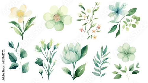 watercolor set of herbs, wildflowers and spices. Exotic plants, palm leaves, monstera on an isolated white background. Eucalyptus watercolor clipart set. Green plant collection isolated on white.