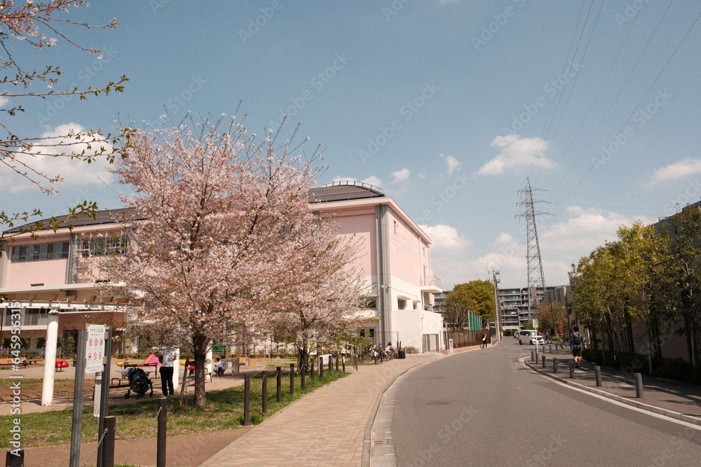 桜とピンクの建物