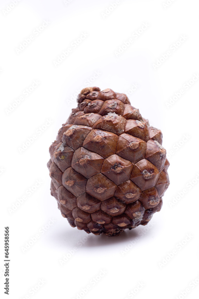 one pineapple isolated one pineapple isolated