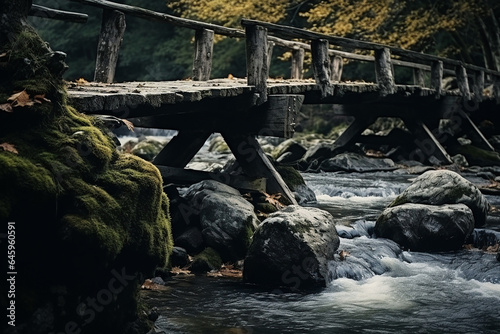 An old bridge in an old forest