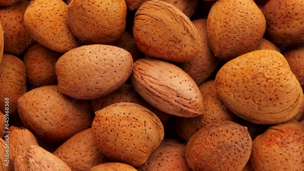 apricot kernel , rotation in circle. dried apricot kernels with nut ,Turning. selective focus. apricot kernel , rotation in circle. dried apricot kernels with nut ,Turning. selective focus.