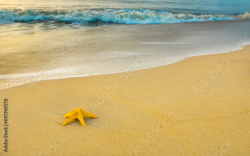 Rehoboth Beach with starfish