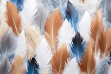 Colourful feather on white background 