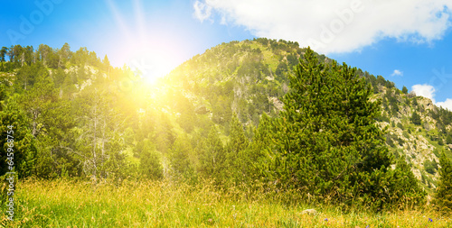 Picturesque mountain slopes with forests and sunrise. Wide photo.
