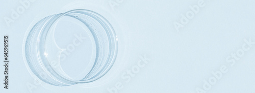 Petri dish. On a blue blue background.