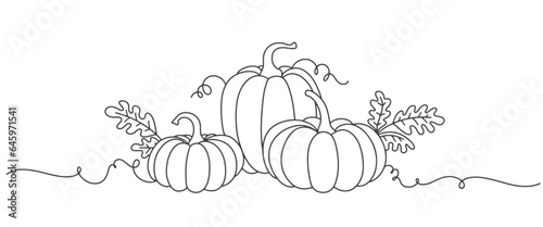Pumpkin line art style vector illustration
