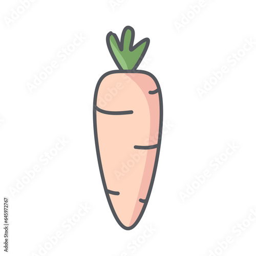 Carrot Healthy Vegetable Vegetarian Ingredients