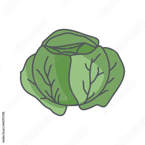 Cauliflower Healthy Vegetable Vegetarian Ingredients