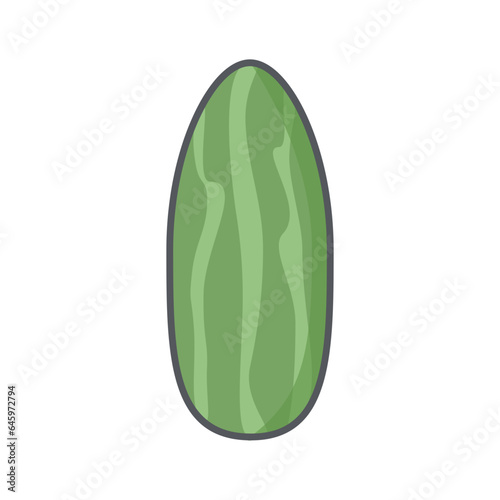 Cucumber Healthy Vegetable Vegetarian Ingredients