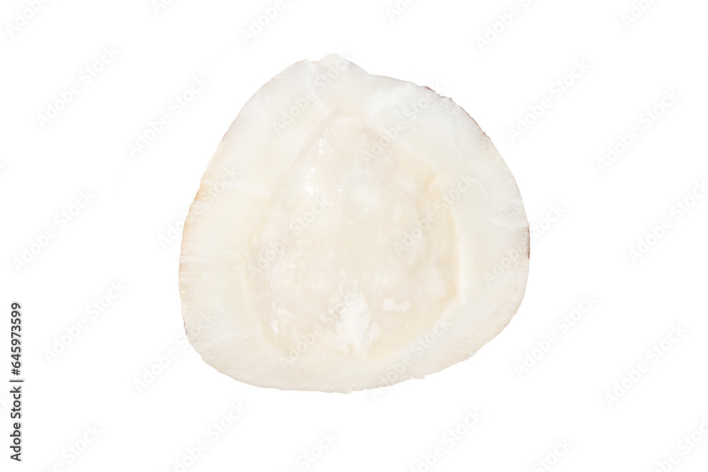 Piece, part of a coconut without the shell on a blank background. PNG