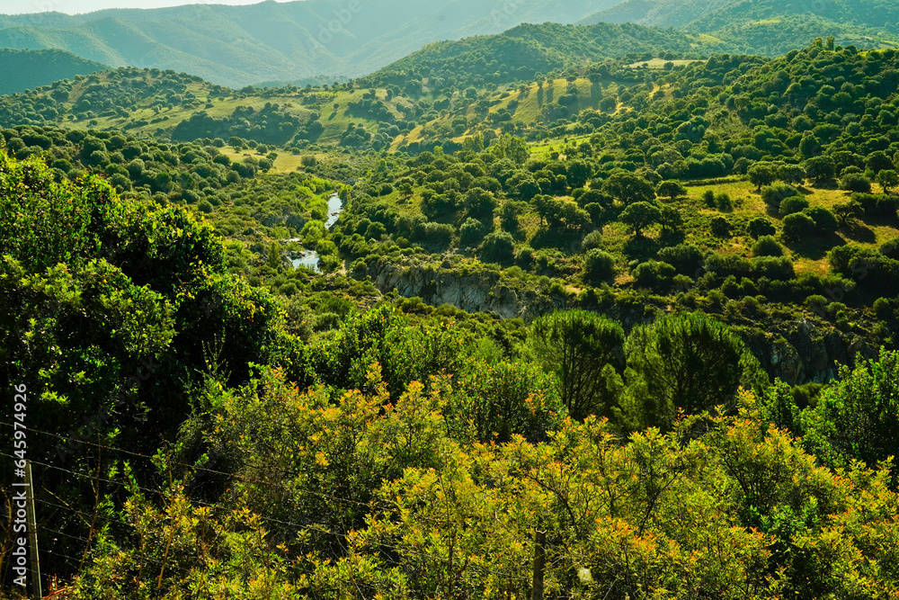 Panorama tipico del Supramonte sardo. Provincia di Nuoro, Sardegna. Italy