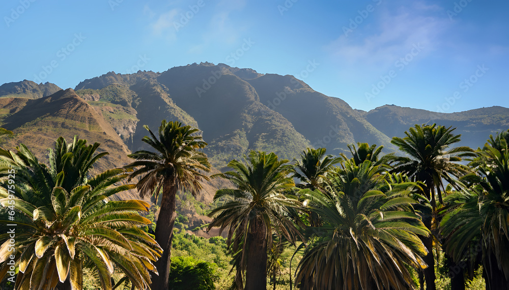 Palm trees mountains