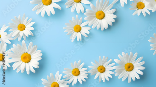 Daisy Delight: Chamomile Flowers in a Beautiful Spring Pattern