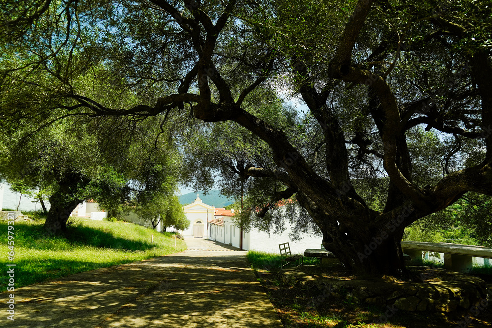 Santuario di N.S dell' Annunziata (S' Annossata) Bitti, Provincia di Nuoro, Sardegna. Italy Santuario di N.S dell' Annunziata (S' Annossata) Bitti, Provincia di Nuoro, Sardegna. Italy