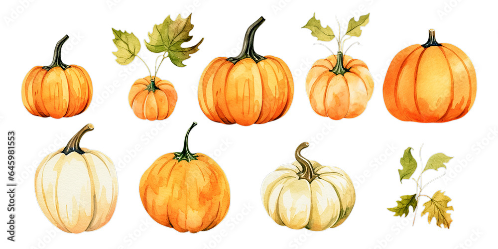Set of pumpkins on white