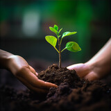 Hand Holding Soil Tree Sapling Growth Nature Growing Background