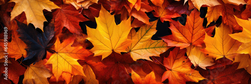 Autumnal Beauty: Textured Fall Leaves