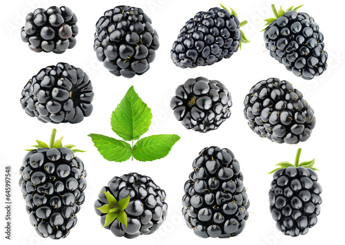 Fototapeta Naklejka Na Ścianę i Meble -  Collection of blackberry fruits with stem and leaf cut out